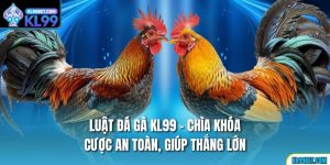Luật Đá Gà KL99 - Chìa Khóa Cược An Toàn, Giúp Thắng Lớn