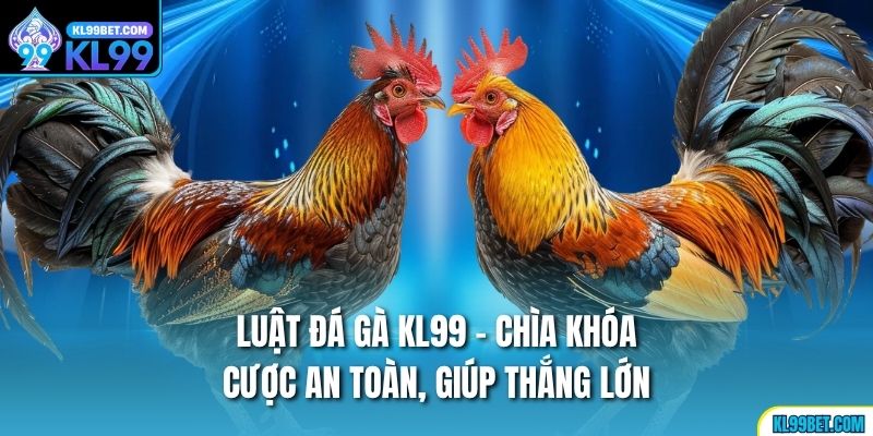 Luật Đá Gà KL99 - Chìa Khóa Cược An Toàn, Giúp Thắng Lớn